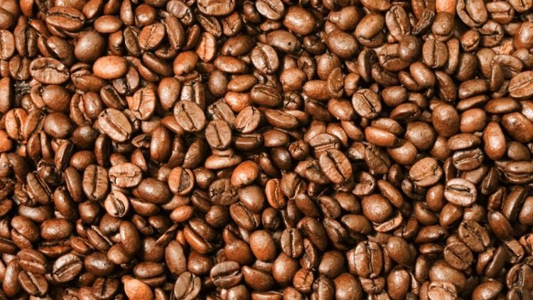 Nahaufnahme von gerösteten braunen Kaffeebohnen, die dicht nebeneinander liegen und das gesamte Bild ausfüllen