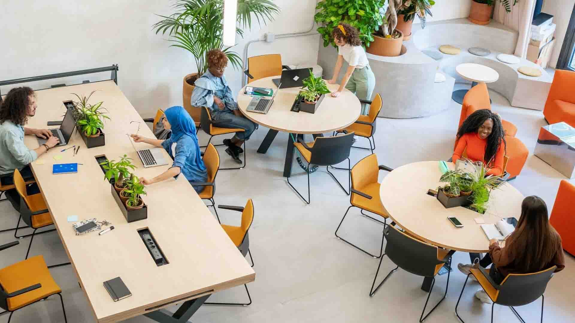 Mitarbeitende arbeiten und tauschen sich in einer modernen Bürofläche mit flexiblen Arbeitsplätzen, Besprechungstischen und Begrünung aus.