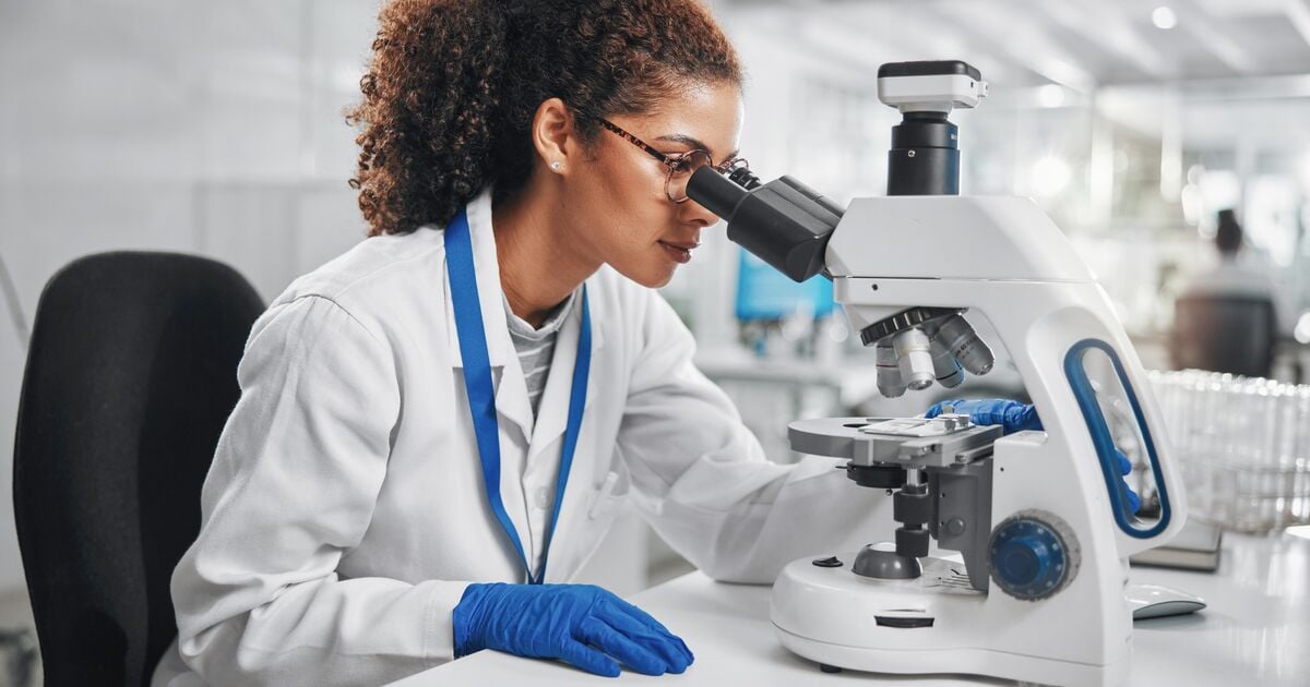 ISS Mitarbeitende arbeiten in einer Laborumgebung und führen Analysen mit einem Mikroskop durch.